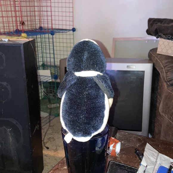 Opus - Picture 4 of 5